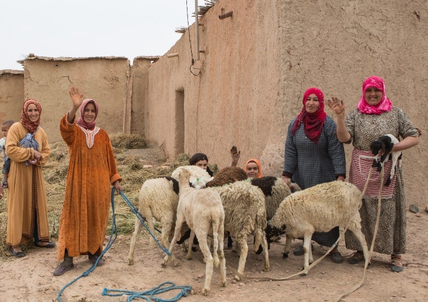 Now you can purchase renewable energy and contribute to gender equality