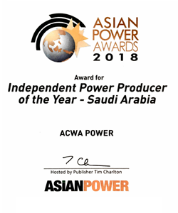 Independent Power Producer of the Year