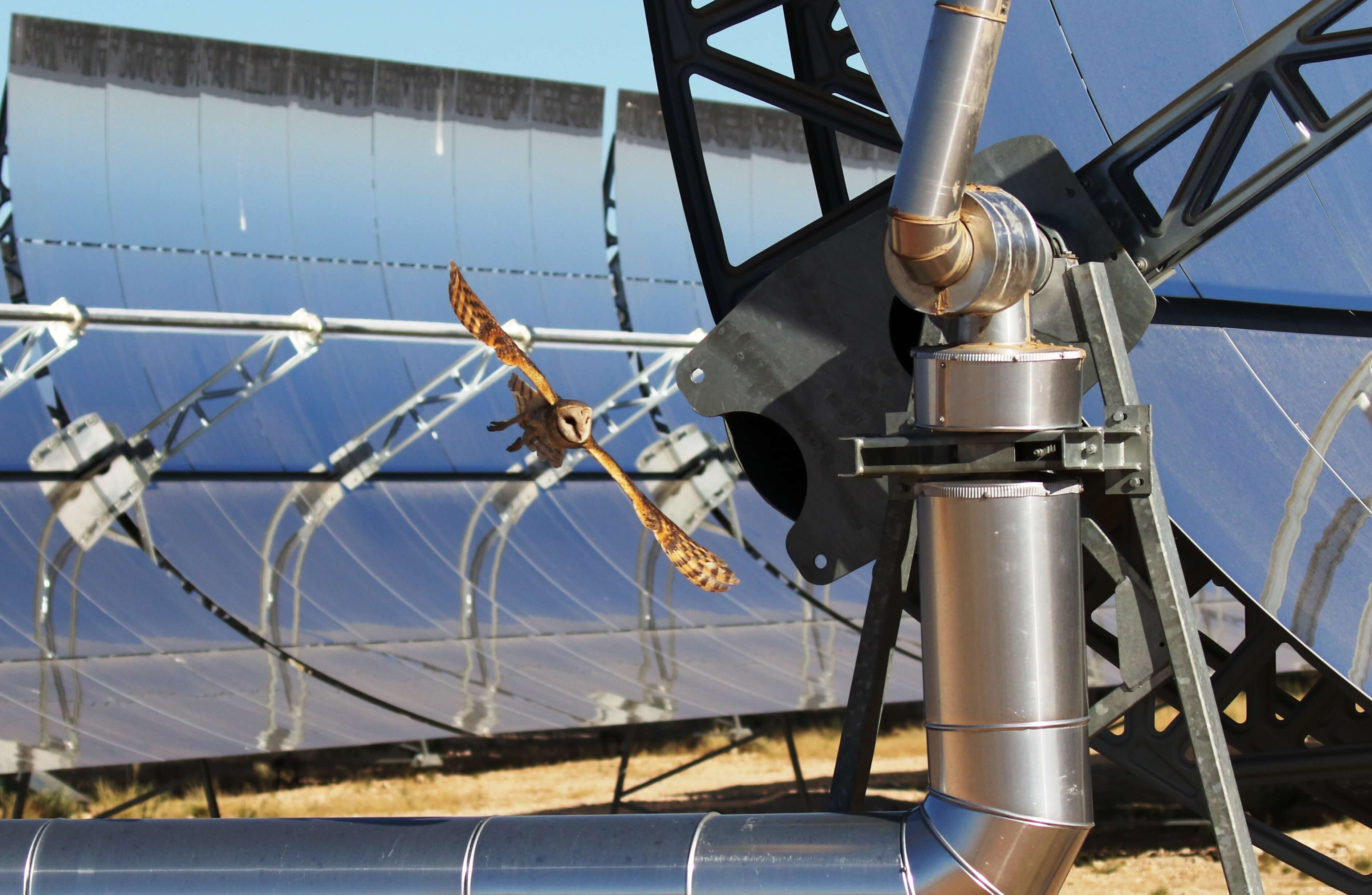 Acwapower-Management Team-Hotspot Image-Ar